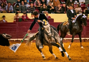 DIA DA TAUROMAQUIA | FESTIVAL TAURINO 2019