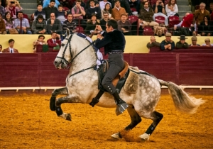 DIA DA TAUROMAQUIA | FESTIVAL TAURINO 2019