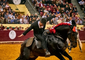 DIA DA TAUROMAQUIA | FESTIVAL TAURINO 2019