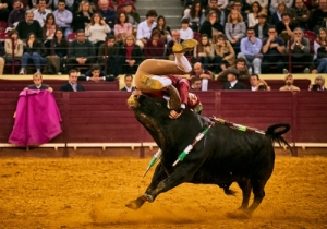 DIA DA TAUROMAQUIA | FESTIVAL TAURINO 2019