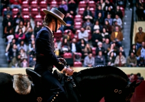 DIA DA TAUROMAQUIA | FESTIVAL TAUROMAQUIA 2019