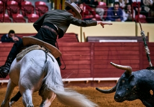 DIA DA TAUROMAQUIA | FESTIVAL TAUROMAQUIA 2019