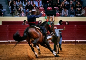 DIA DA TAUROMAQUIA | FESTIVAL TAUROMAQUIA 2019