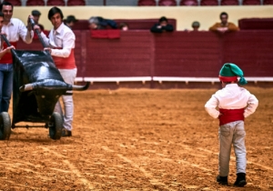 DIA DA TAUROMAQUIA | FESTIVAL TAUROMAQUIA 2019
