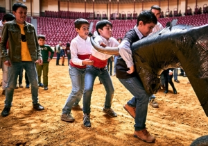 DIA DA TAUROMAQUIA | FESTIVAL TAUROMAQUIA 2019