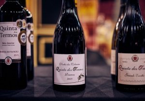 20190309 GOURMET CPQ0011