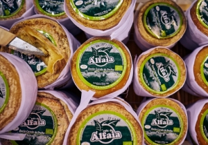 20190309 GOURMET CPQ0052