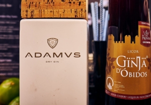 20190309 GOURMET CPQ0101
