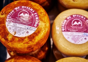 20190309 GOURMET CPQ0176