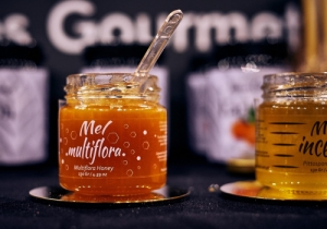 20190309 GOURMET CPQ0207