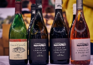 20190309 GOURMET CPQ0265