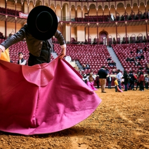 20190223 BULLFEST CPQ0106