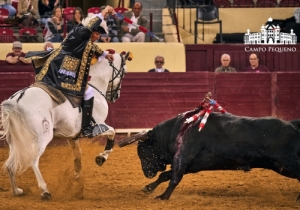 20190412 CPQ.CORRIDA.FH0009