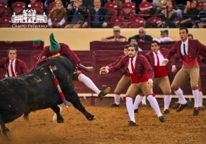 20190412 CPQ.CORRIDA.FH0016