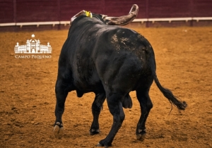 20190412 CPQ.CORRIDA.FH0022