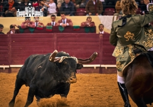 20190412 CPQ.CORRIDA.FH0174