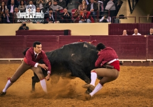 20190412 CPQ.CORRIDA.FH0211