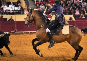 20190412 CPQ.CORRIDA.FH0263