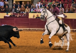 20190516 CPQ.CORRIDA.FH0008