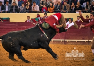 20190516 CPQ.CORRIDA.FH0025