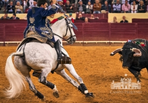 20190516 CPQ.CORRIDA.FH0098