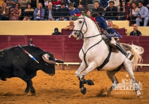 20190516 CPQ.CORRIDA.FH0106