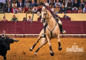 20190516 CPQ.CORRIDA.FH0129