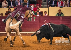 20190516 CPQ.CORRIDA.FH0134