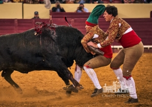 20190516 CPQ.CORRIDA.FH0161