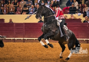 20190516 CPQ.CORRIDA.FH0167