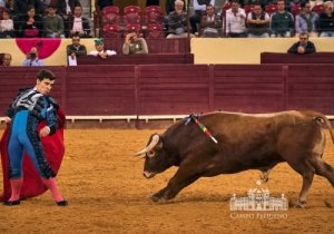 20190518 CPQ.CORRIDA.FH0122