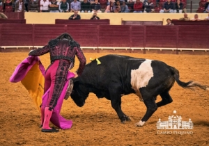 20190518 CPQ.CORRIDA.FH0040