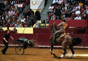 20190518 CPQ.VEMTOUREAR.FH0008