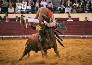20190606 CPQ.CORRIDA.FH0108