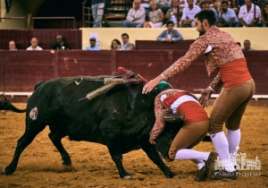 20190711 CPQ.CORRIDA.FH0030