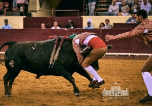 20190711 CPQ.CORRIDA.FH0028