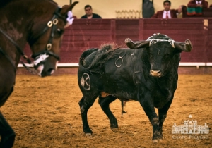 20190711 CPQ.CORRIDA.FH0048