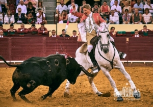 20190711 CPQ.CORRIDA.FH0064