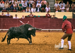 20190711 CPQ.CORRIDA.FH0094