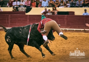 20190711 CPQ.CORRIDA.FH0098