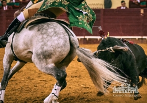 20190711 CPQ.CORRIDA.FH0104