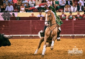 20190711 CPQ.CORRIDA.FH0118