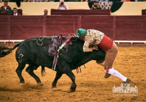 20190711 CPQ.CORRIDA.FH0124