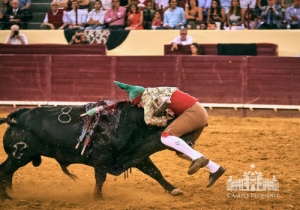 20190711 CPQ.CORRIDA.FH0125