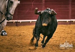 20190711 CPQ.CORRIDA.FH0142