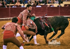 20190711 CPQ.CORRIDA.FH0175