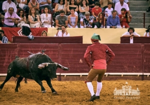 20190711 CPQ.CORRIDA.FH0204