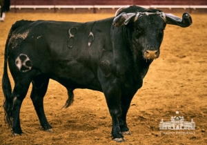 20190711 CPQ.CORRIDA.FH0216