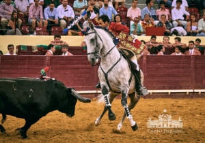20190711 CPQ.CORRIDA.FH0220