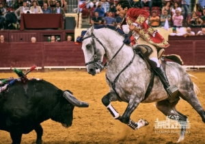 20190711 CPQ.CORRIDA.FH0233